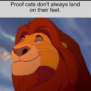 Meet your Posher, Andy